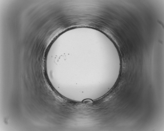 X0000102471093200808291559