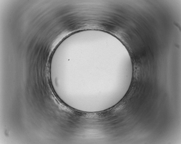 X0000102471094200808291559