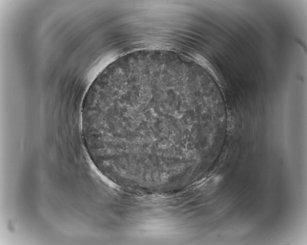 X0000102471095200808291559