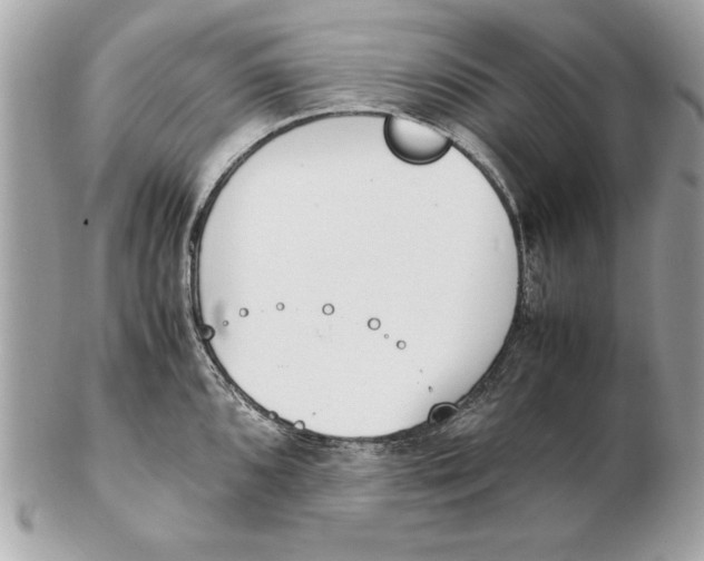 X0000102471096200808291559