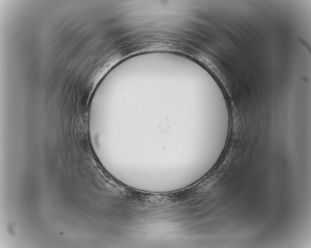 X0000102471097200808291559