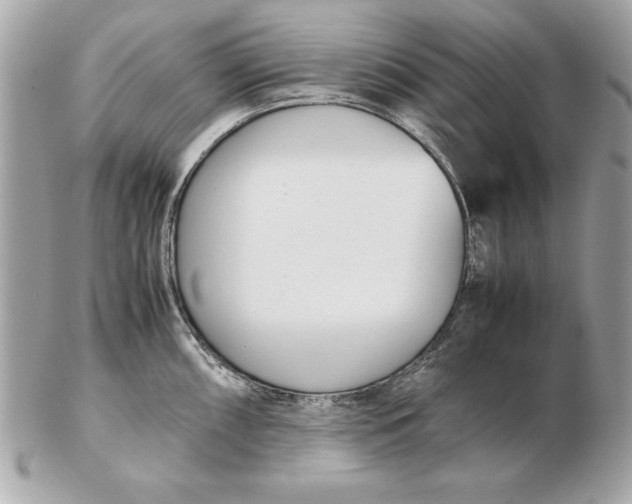 X0000102471098200808291559