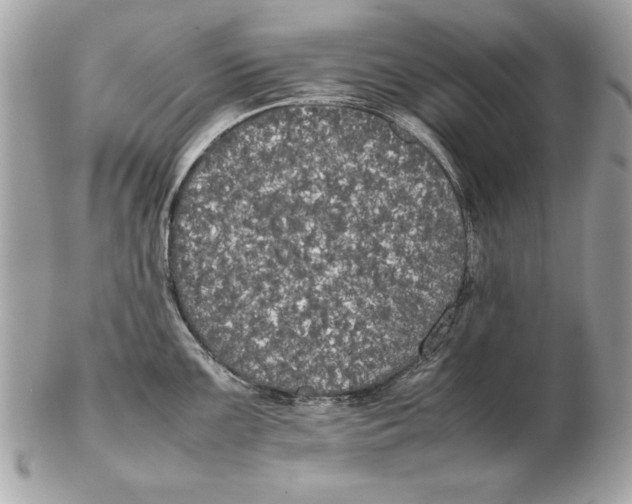 X0000102471099200808291559