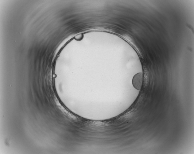 X0000102471100200808291559