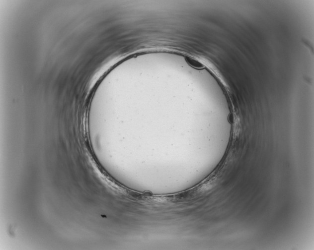X0000102471101200808291558
