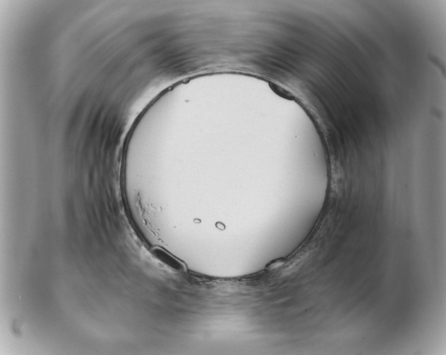 X0000102471102200808291558