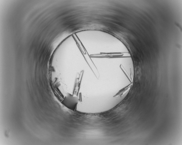 X0000102471103200808291558
