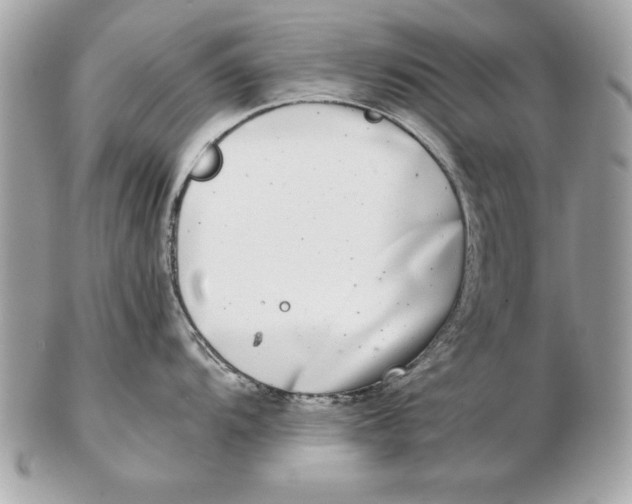 X0000102471104200808291558