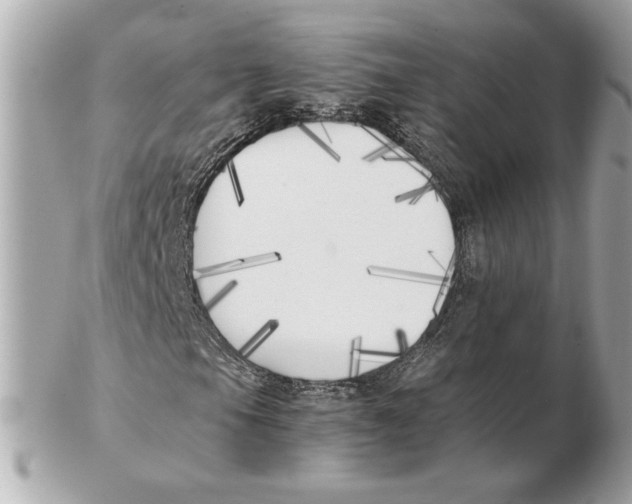 X0000102471105200808291558