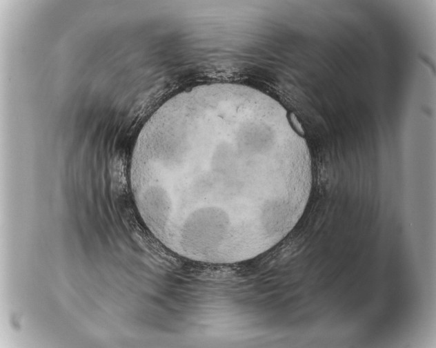 X0000102471106200808291558