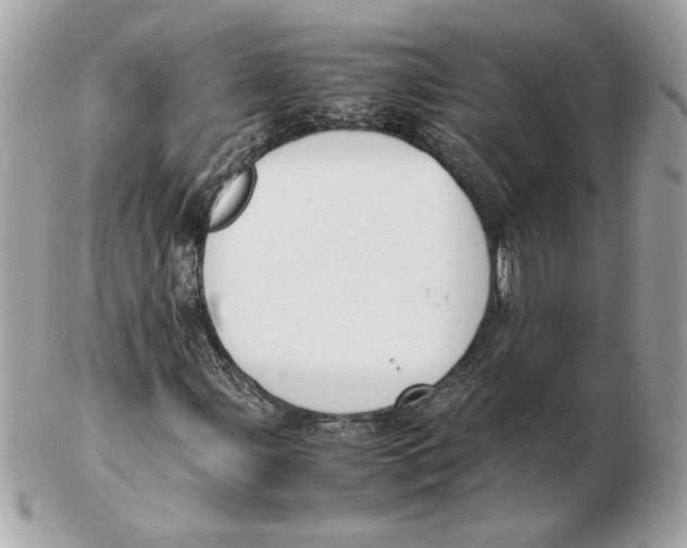 X0000102471107200808291558