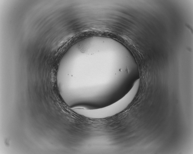 X0000102471110200808291558