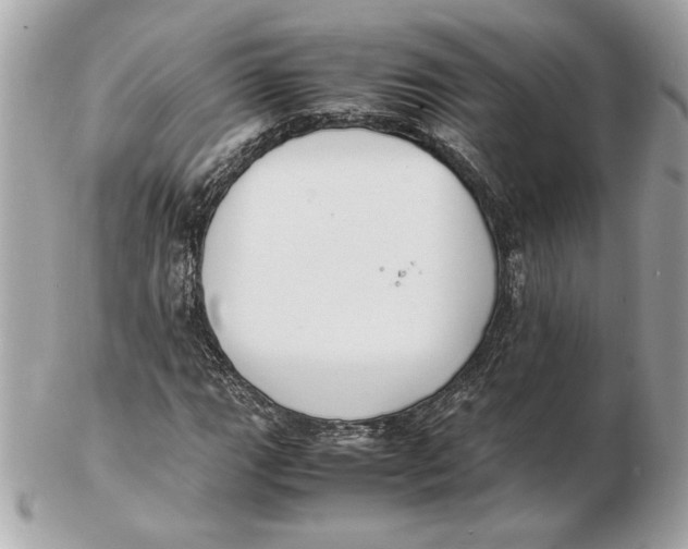X0000102471111200808291558