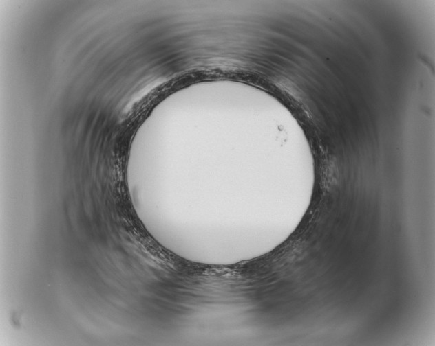 X0000102471112200808291558