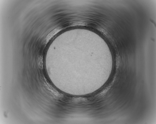X0000102471113200808291558