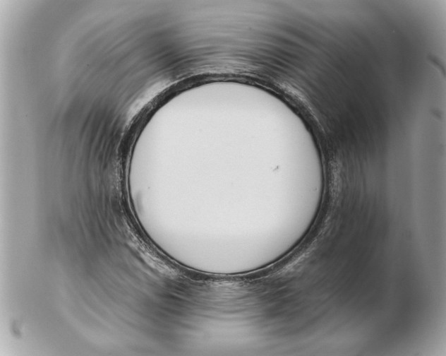 X0000102471114200808291558