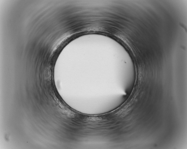 X0000102471115200808291558