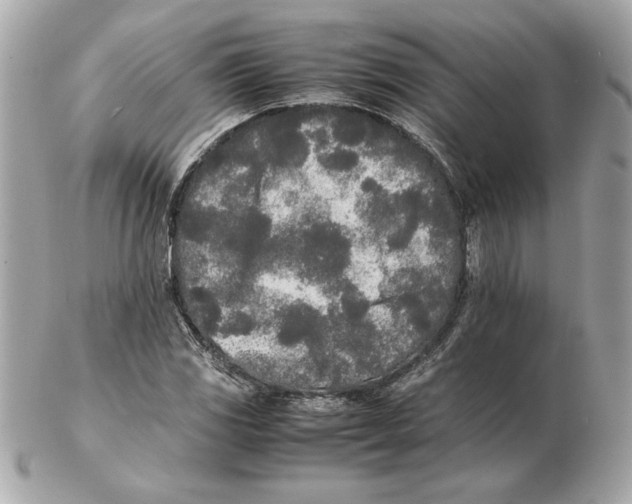 X0000102471117200808291558
