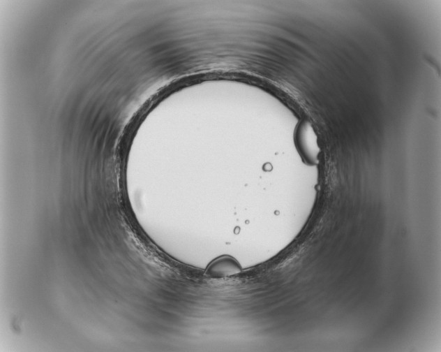 X0000102471118200808291558
