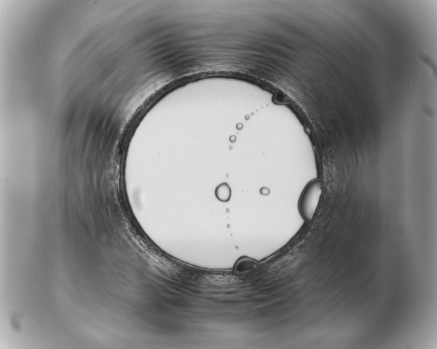 X0000102471119200808291558