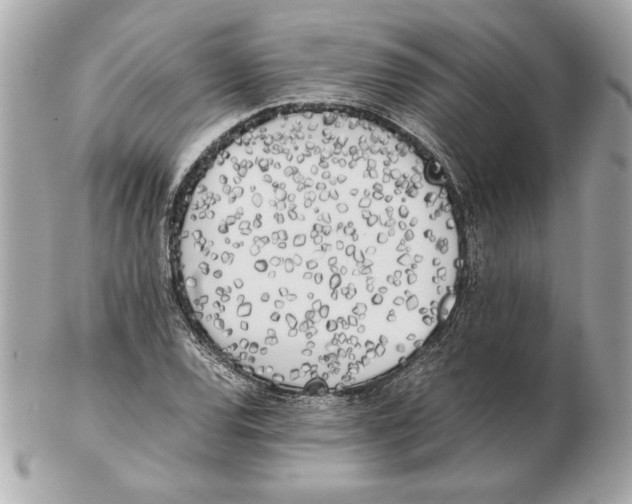 X0000102471120200808291558