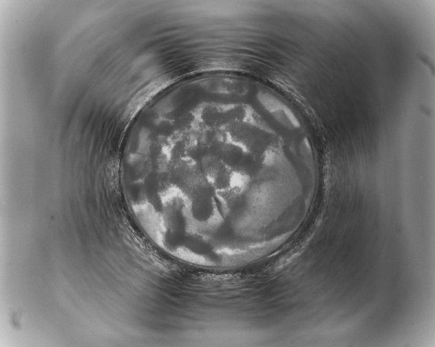 X0000102471121200808291558