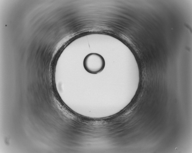 X0000102471122200808291558