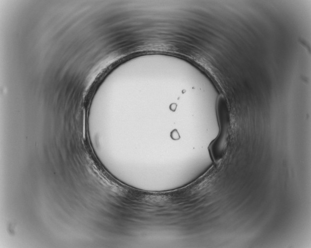 X0000102471123200808291558