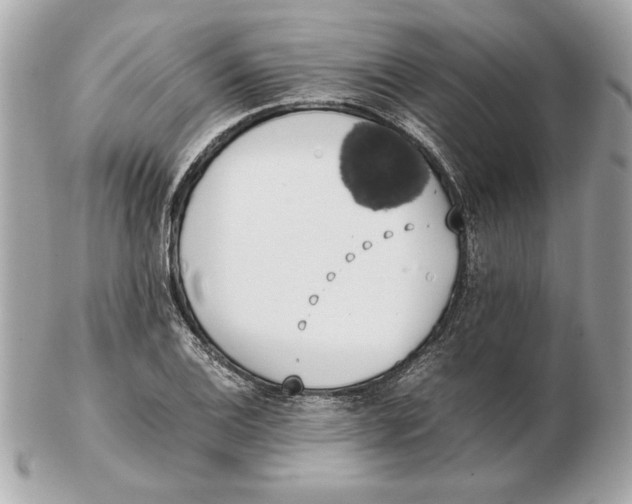 X0000102471124200808291558