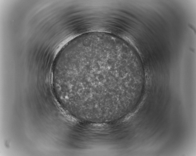 X0000102471125200808291558
