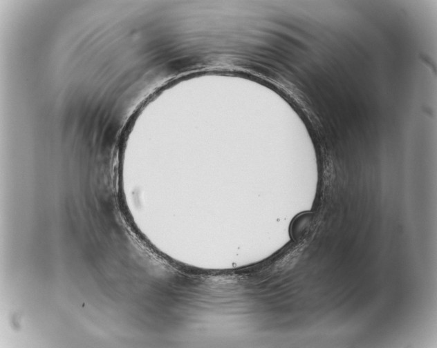 X0000102471126200808291558