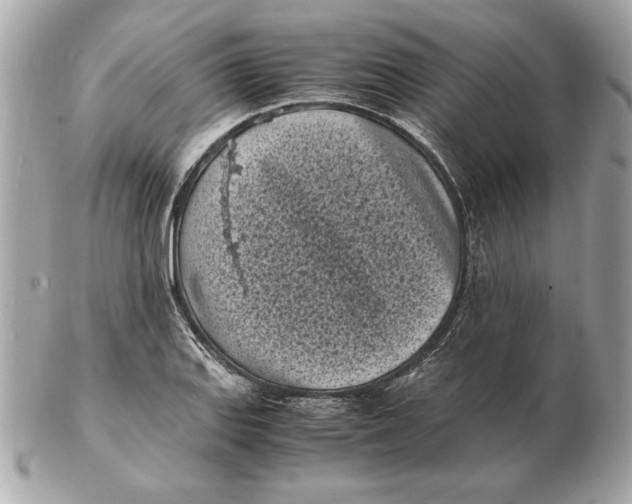 X0000102471127200808291558