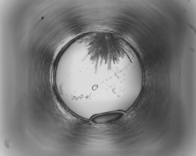 X0000102471128200808291558