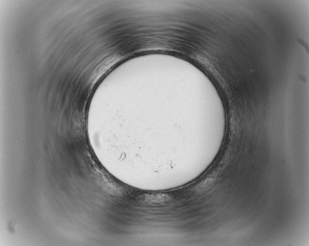 X0000102471129200808291558