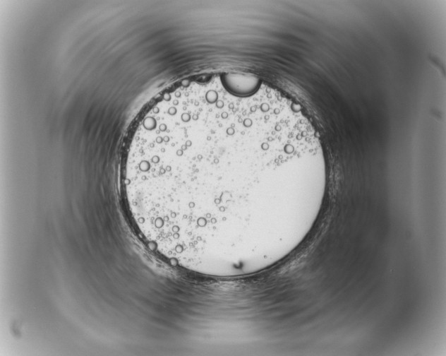 X0000102471130200808291558