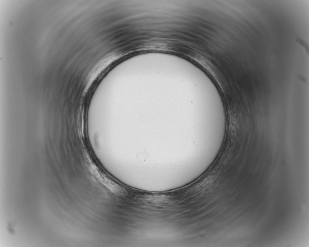 X0000102471131200808291558
