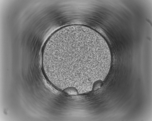 X0000102471132200808291558