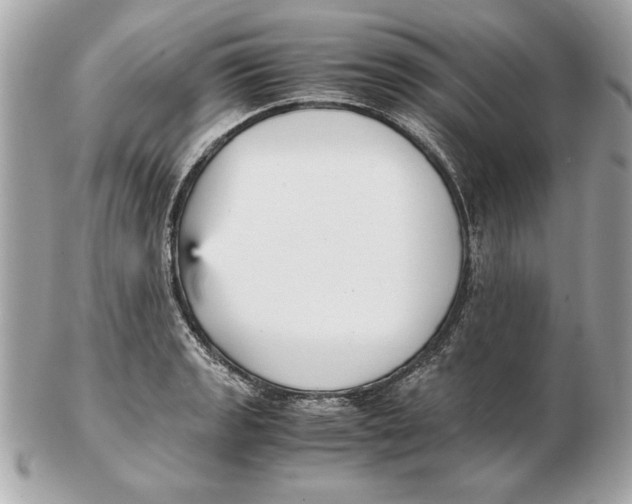 X0000102471133200808291558