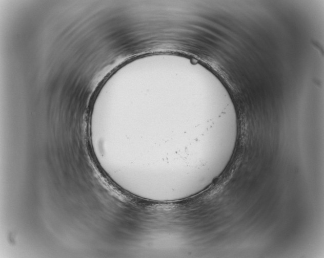X0000102471134200808291558