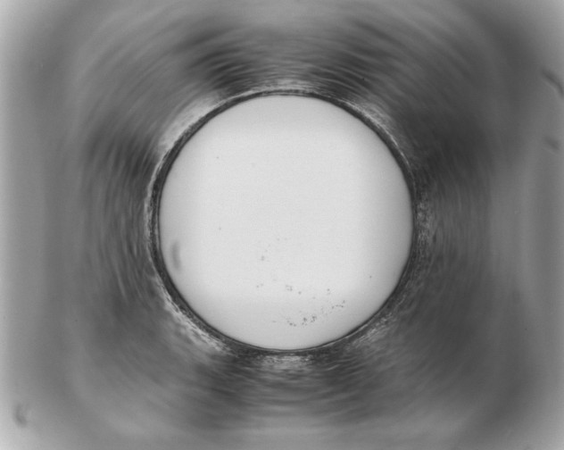 X0000102471135200808291558