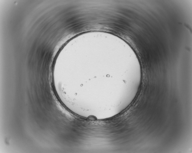 X0000102471136200808291558