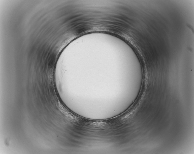 X0000102471137200808291558