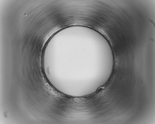 X0000102471138200808291558