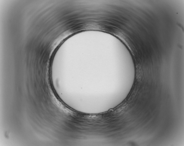 X0000102471139200808291558
