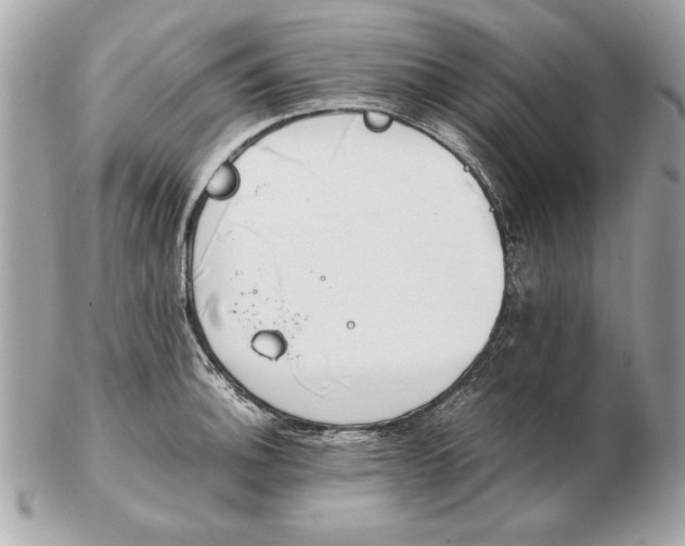X0000102471140200808291558