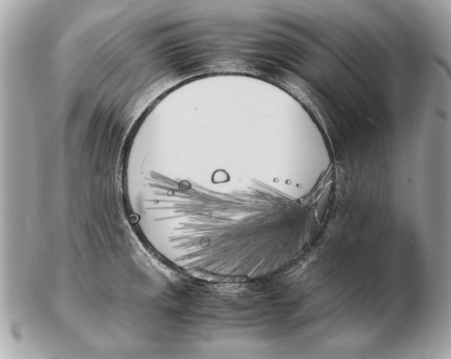 X0000102471141200808291558