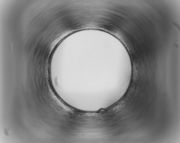 X0000102471142200808291558