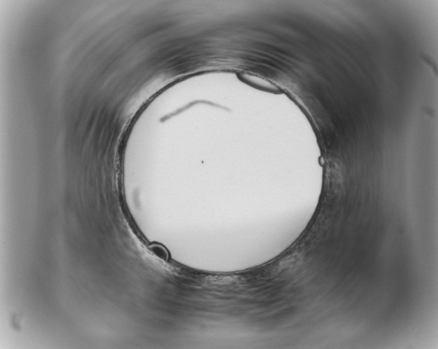 X0000102471143200808291558