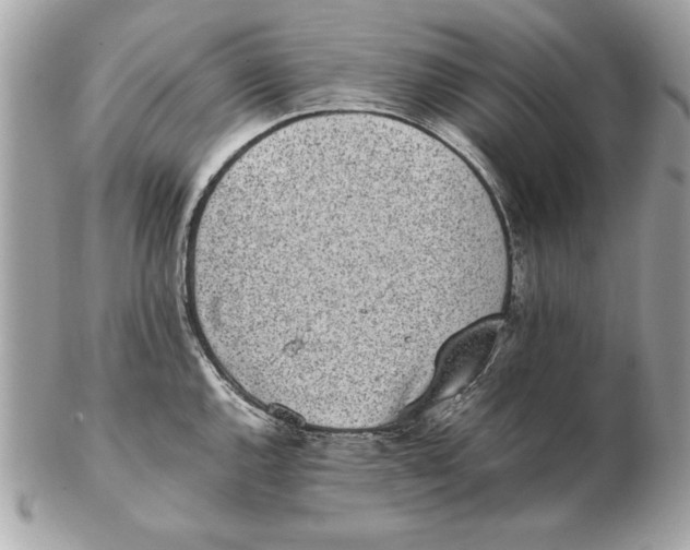 X0000102471144200808291558