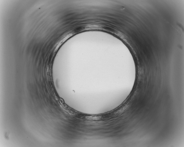 X0000102471145200808291558